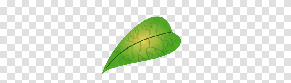 Green Leaf Clip Arts For Web, Plant, Tennis Ball, Sport, Sports Transparent Png