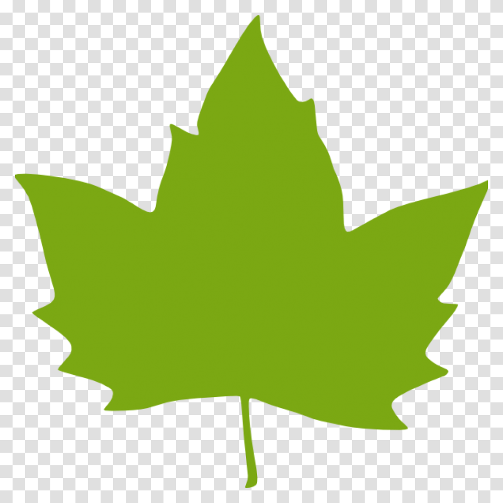 Green Leaf Clipart Free Clipart Download, Plant, Maple Leaf, Person, Human Transparent Png
