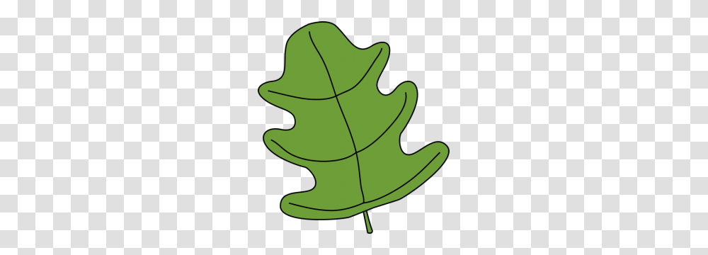 Green Leaf Clipart Green Leaf Clip Art Green Leaf Image School, Plant, Tree, Maple Leaf Transparent Png