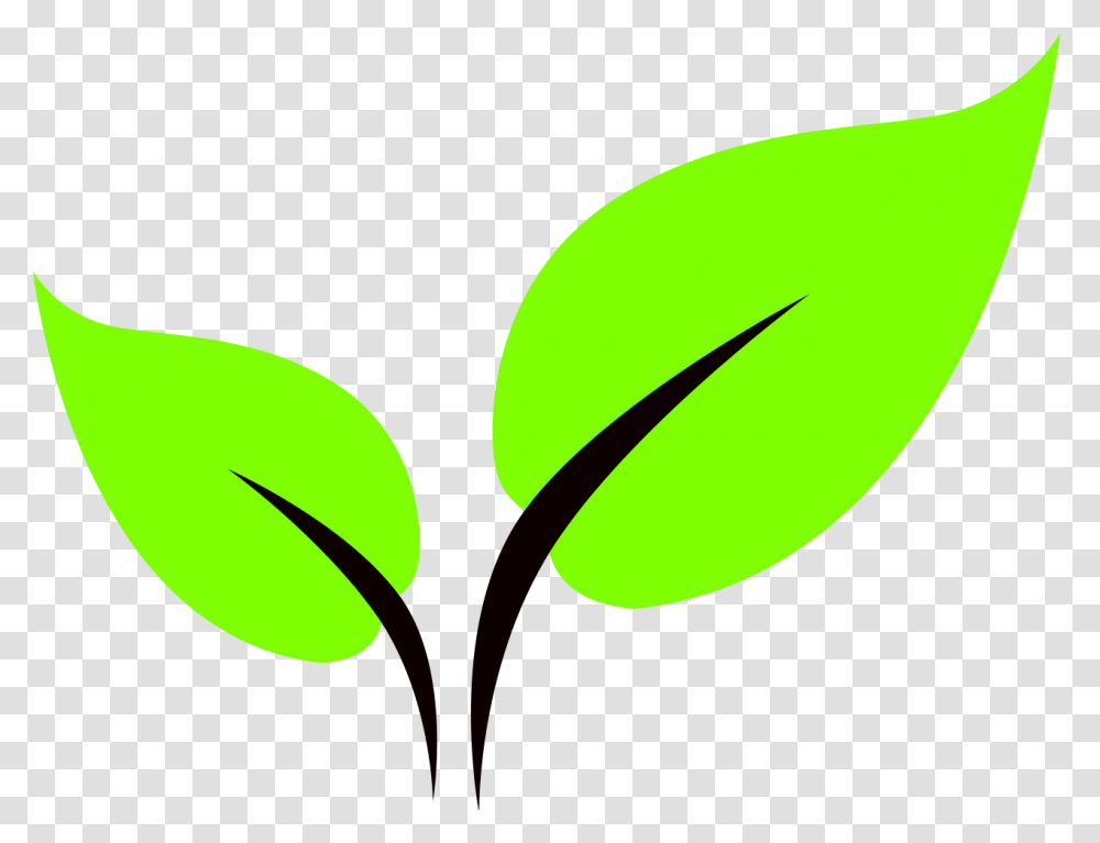 Green Leaf Clipart, Plant, Logo Transparent Png