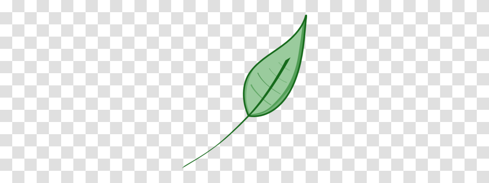 Green Leaf Clipart, Plant, Photography, Flower, Blossom Transparent Png