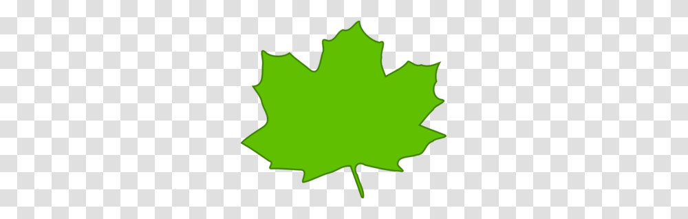 Green Leaf Green Border Clip Art, Plant, Maple Leaf, Tree, Person Transparent Png