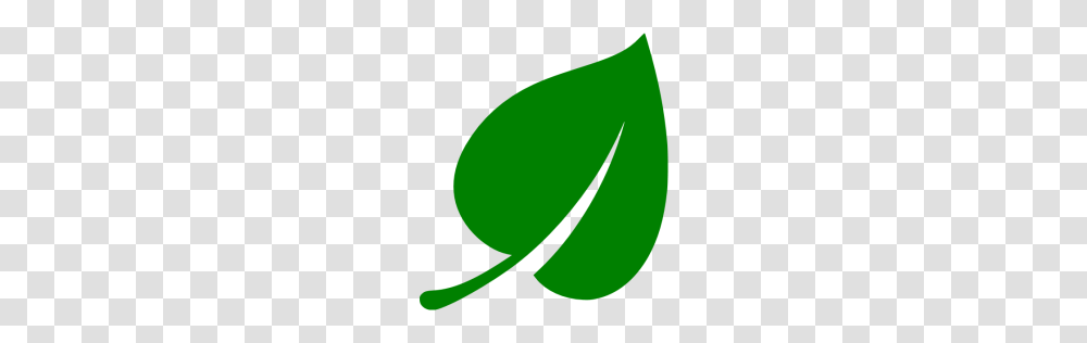 Green Leaf Icon, Plant, Meal Transparent Png