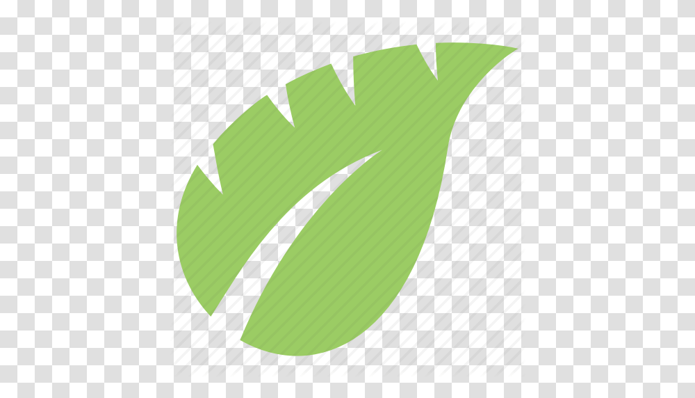 Green Leaf Leaf Leaf Design Monstera Leaf Tropical Leaf Icon, Plant, Pillow, Cushion Transparent Png