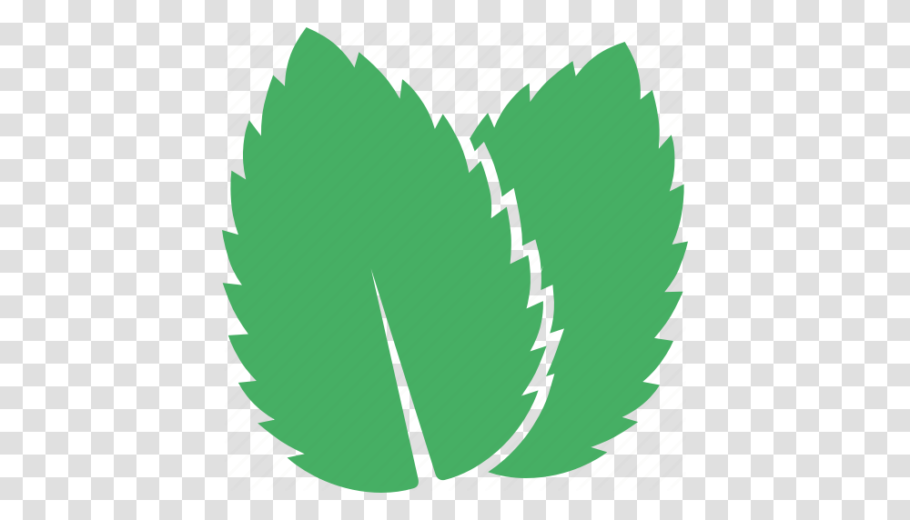 Green Leaf Leaves Mentha Mint Peppermint Spearmint Icon, Plant, Tree, Flower, Vegetable Transparent Png