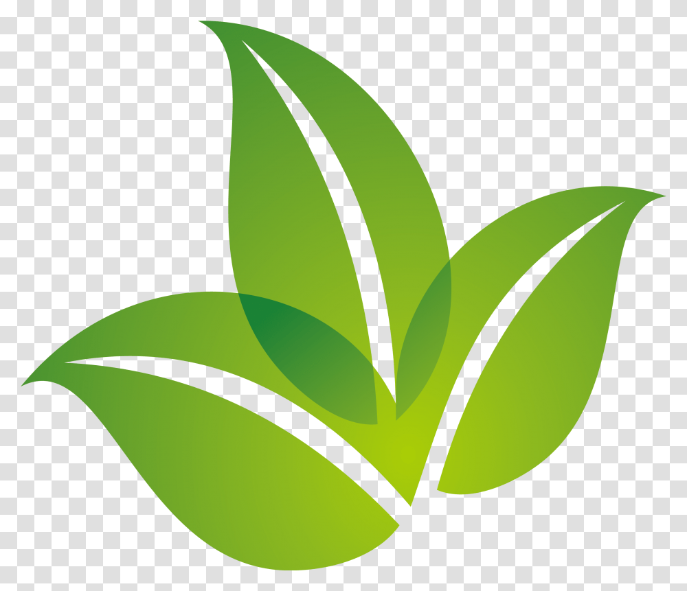 Green Leaf Logo Design Download Green Leaf Logo, Plant, Aloe, Tennis Ball, Sport Transparent Png