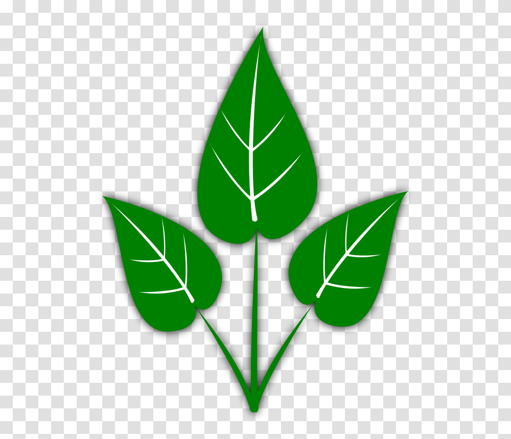 Green Leaf, Nature, Plant, Veins, Pattern Transparent Png