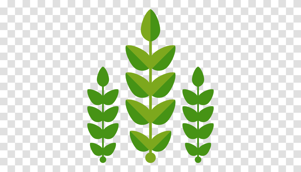 Green, Leaf, Plant Transparent Png