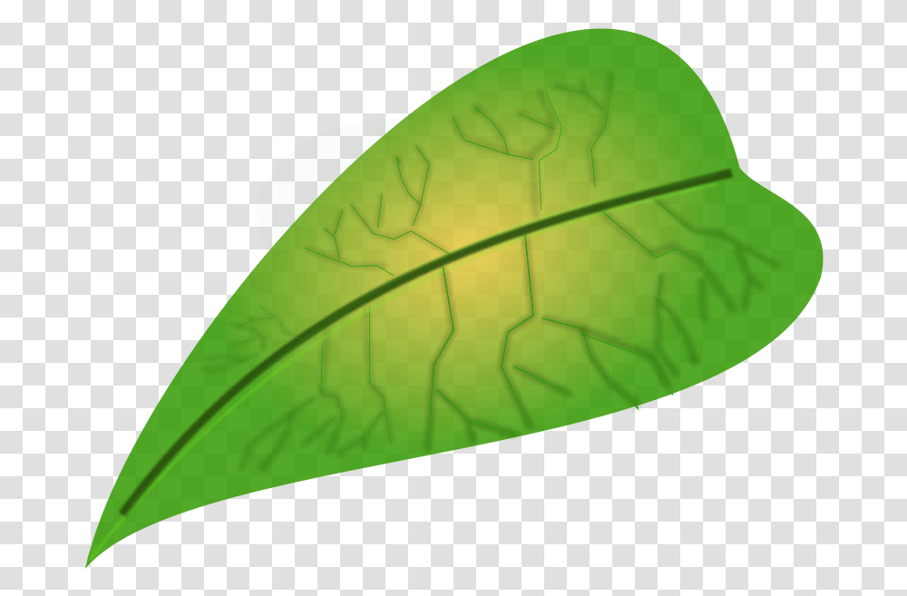 Green Leaf Small Leaf Clipart, Plant, Veins, Soil Transparent Png