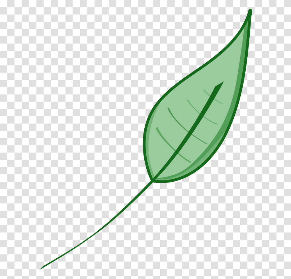 Green Leaf Svg Vector File Vector Clip Art Svg File Green Leaf Clip Art, Plant, Photography, Vegetation, Flower Transparent Png