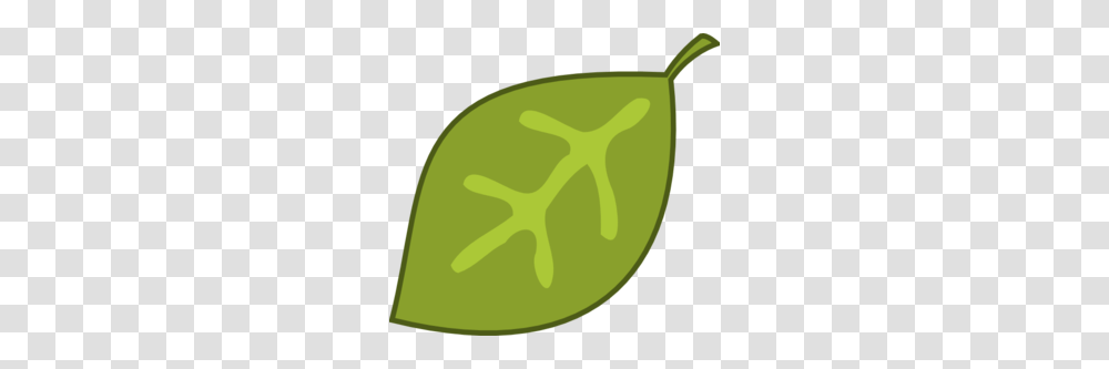 Green Leaf Template, Plant, Tennis Ball, Sport, Sports Transparent Png