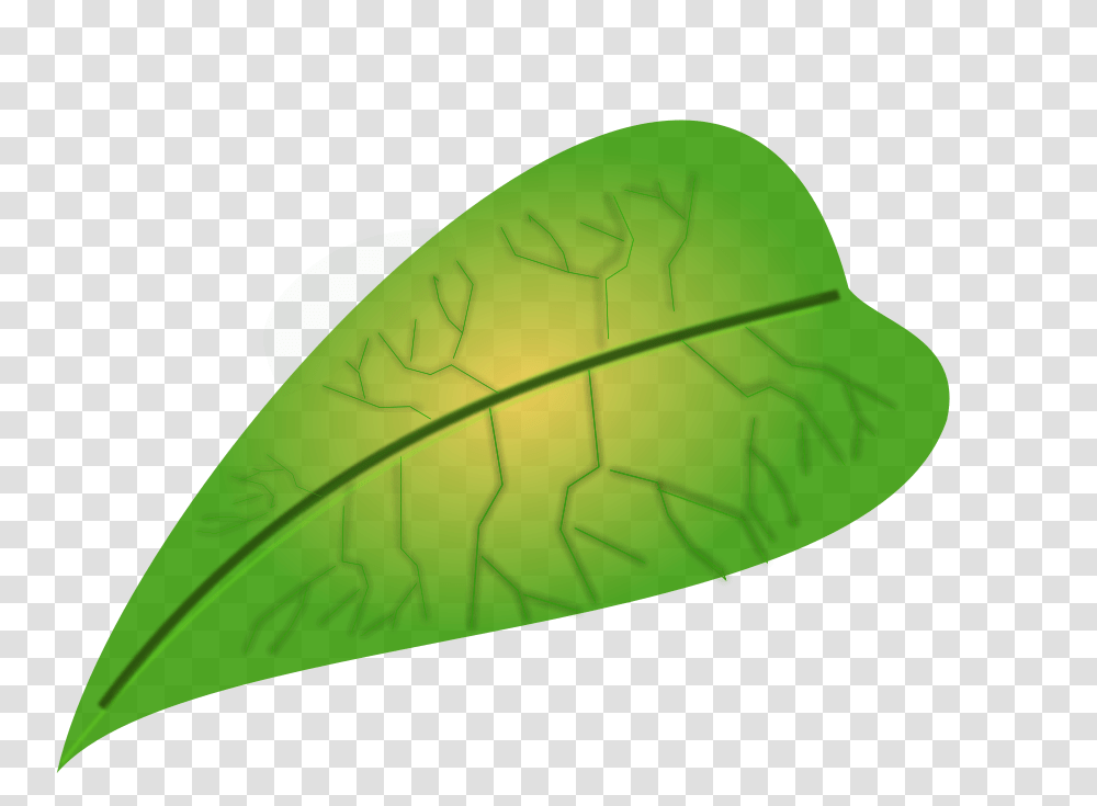 Green Leafs Clipart, Plant, Veins Transparent Png