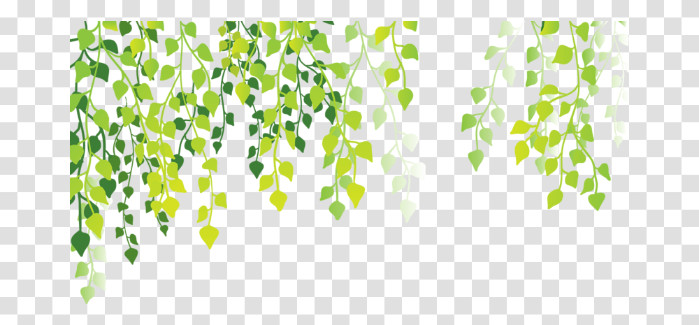 Green Leaves Background, Plant, Leaf, Tree, Potted Plant Transparent Png