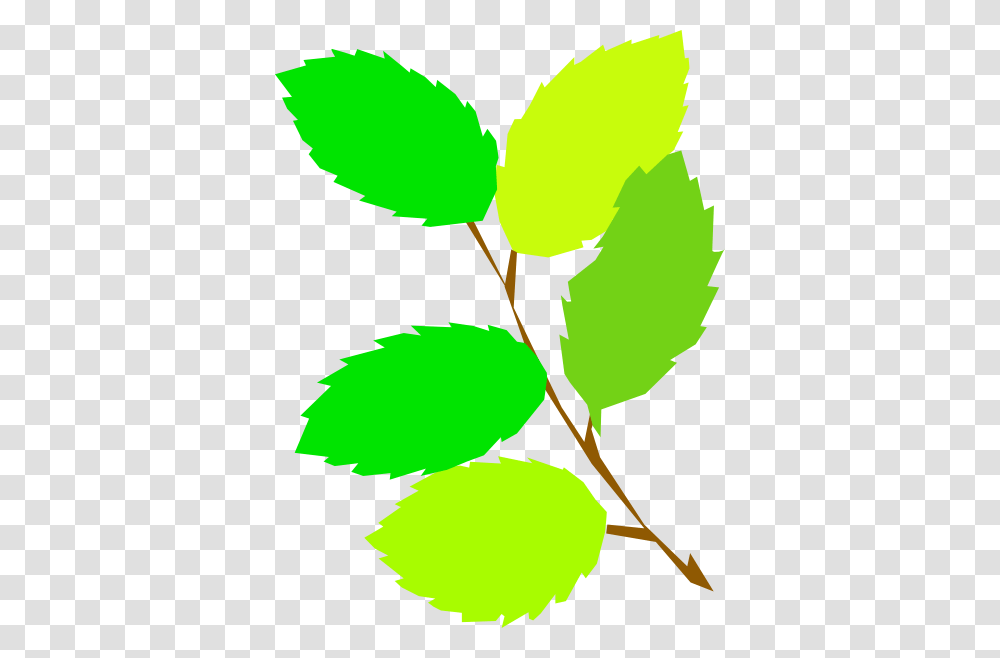 Green Leaves Clip Art, Leaf, Plant, Tennis Ball, Sport Transparent Png