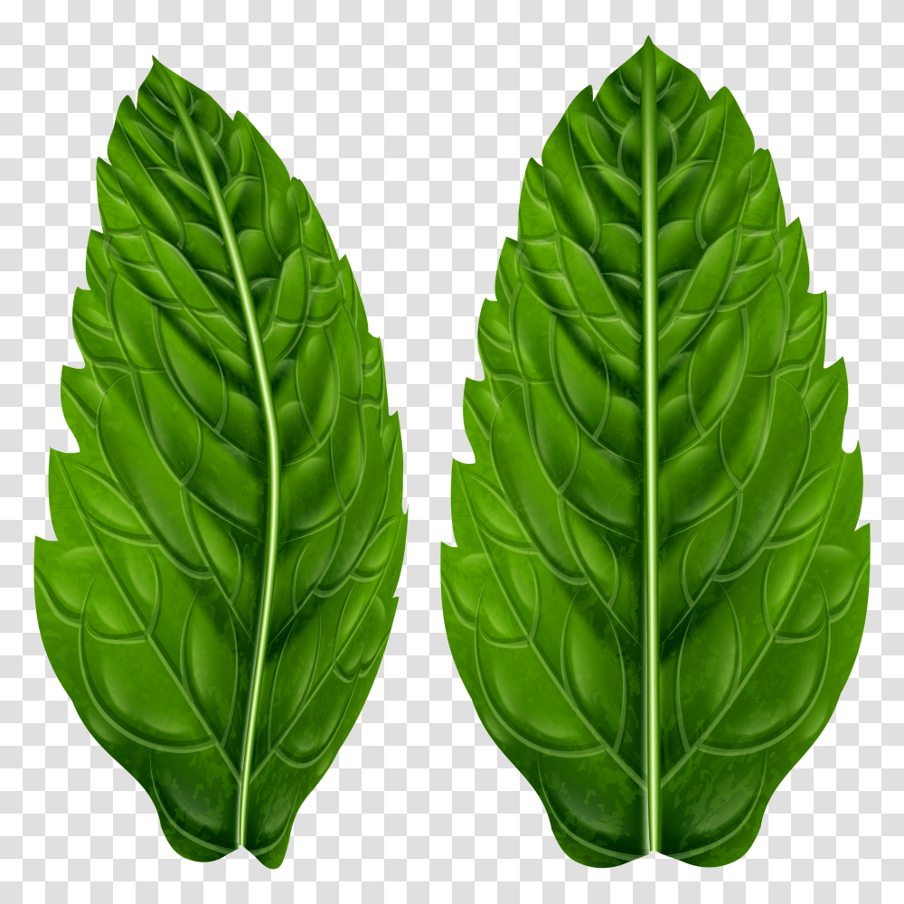 Green Leaves Clip Art Transparent Png