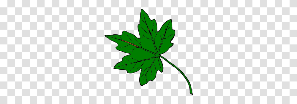 Green Leaves Clipart Clip Art Green, Leaf, Plant, Maple Leaf, Painting Transparent Png