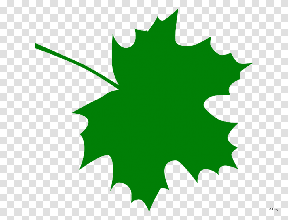 Green Leaves Clipart Clip Art Green, Leaf, Plant, Tree, Maple Leaf Transparent Png
