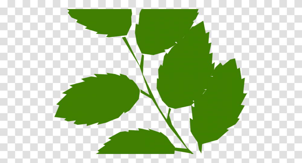 Green Leaves Clipart, Leaf, Plant, Flower, Blossom Transparent Png