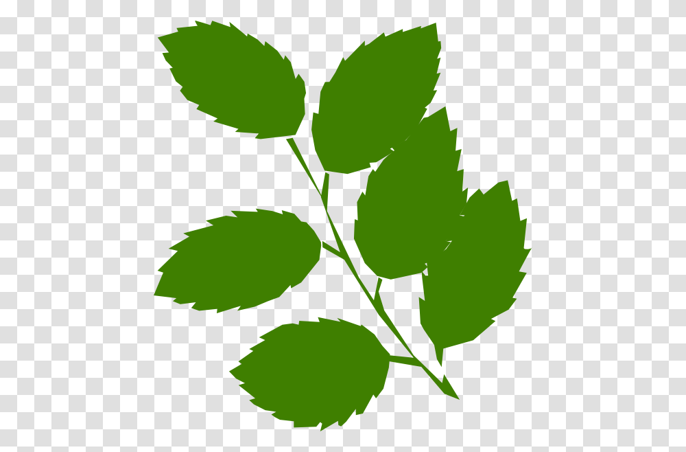 Green Leaves Clipart, Leaf, Plant, Flower, Blossom Transparent Png