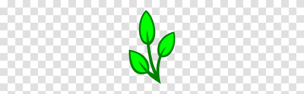 Green Leaves Clipart Leafe, Plant, Flower, Bud, Sprout Transparent Png