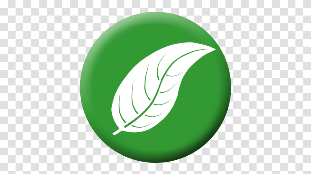 Green Leaves Clipart Tobacco Leaf, Plant, Logo, Banana Transparent Png