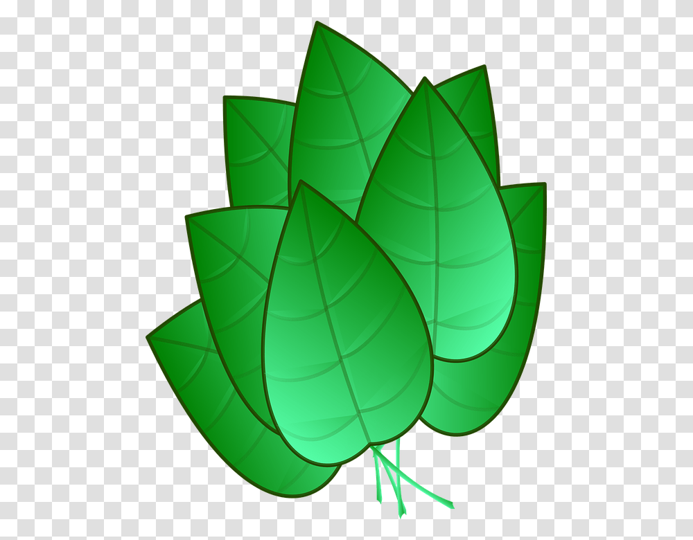Green Leaves Clipart Tobacco Leaf Tobacco Leaf Clipart, Plant, Lamp, Vase, Jar Transparent Png