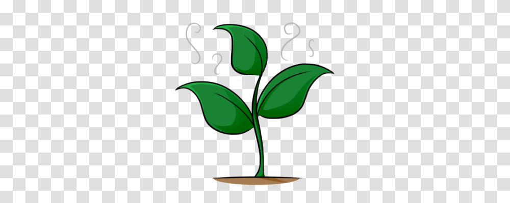 Green Leaves Clipart Transpiration, Plant, Flower, Blossom, Leaf Transparent Png
