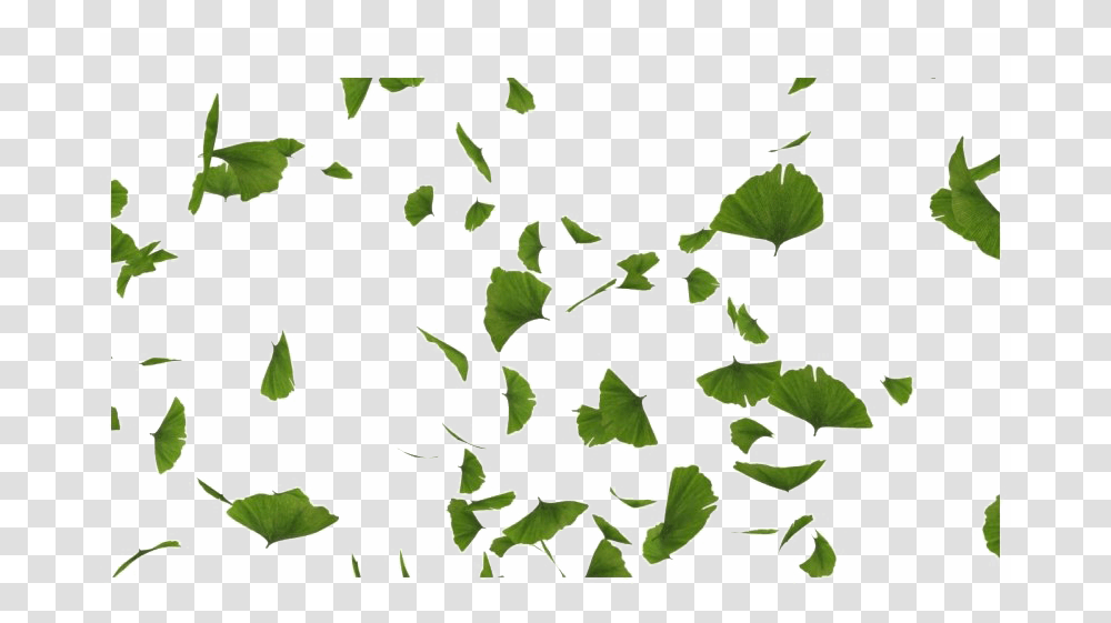 Green Leaves Falling, Leaf, Plant, Ivy, Vine Transparent Png