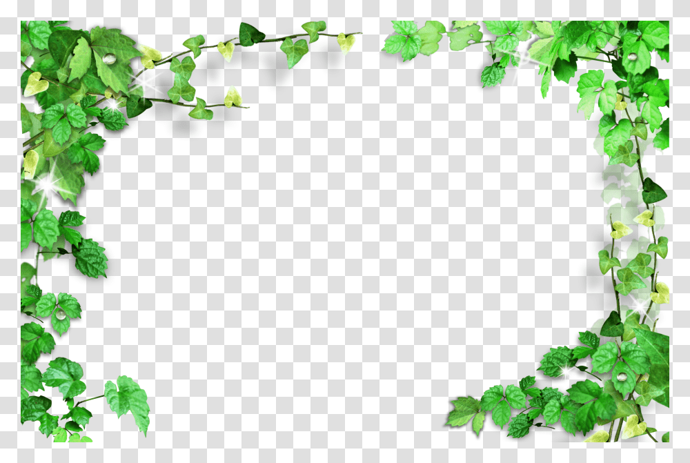 Green Leaves Frame Transparent Png