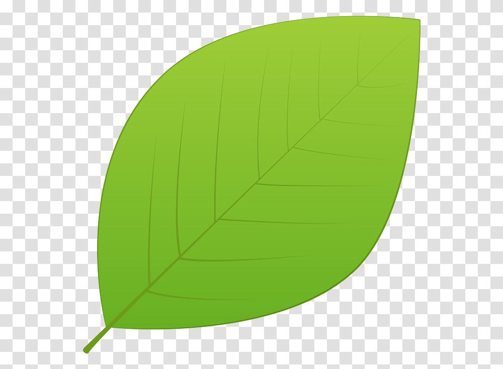 Green Leaves Hd Background Thomsonv Model Atomu, Leaf, Plant, Tennis Ball, Sport Transparent Png