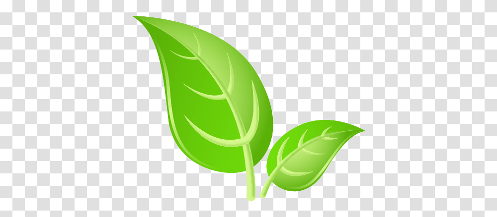 Green Leaves Images Hd Play Green Leaf Hd, Plant, Symbol, Flower, Blossom Transparent Png