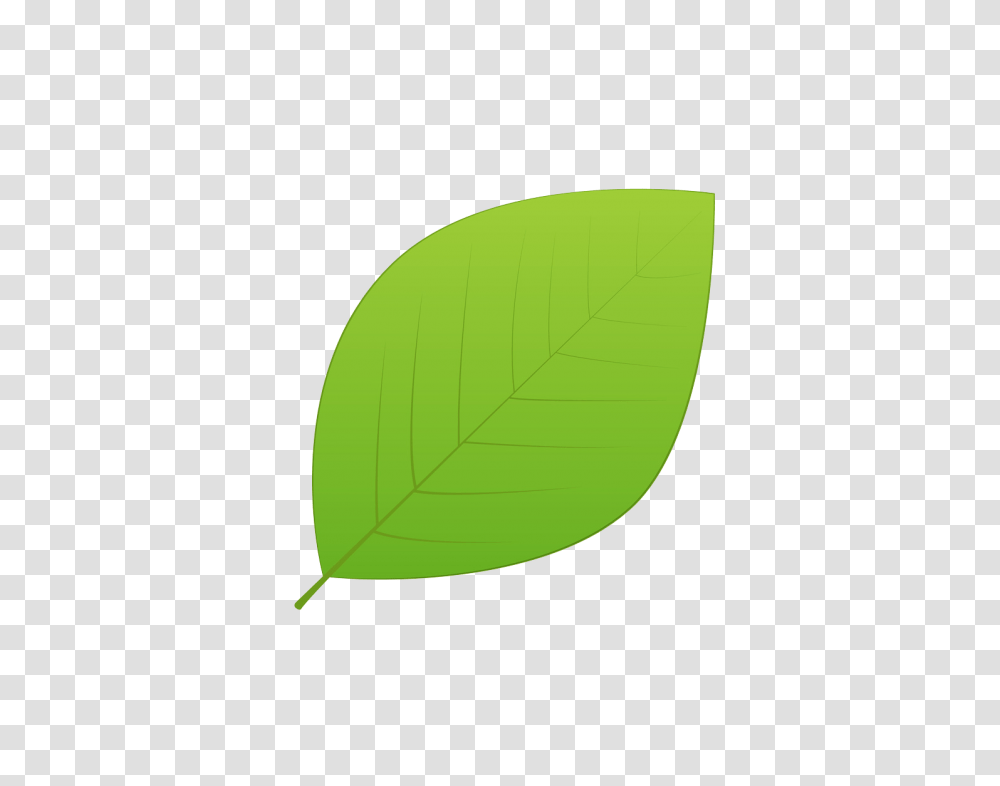Green Leaves Images, Leaf, Plant, Tennis Ball, Sport Transparent Png