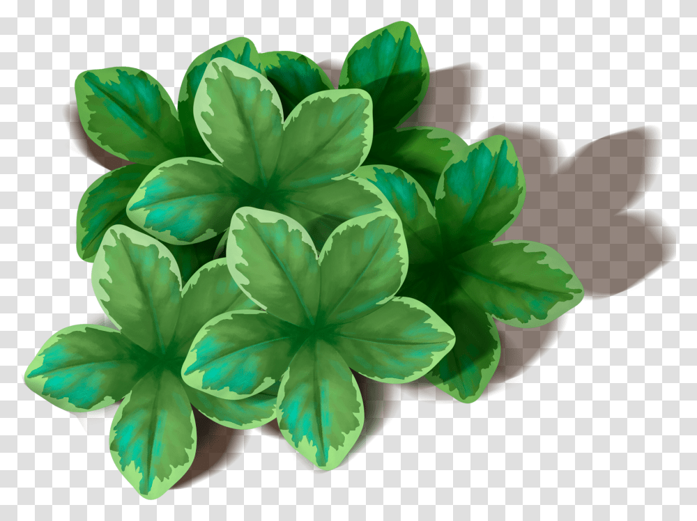 Green Leaves, Nature, Leaf, Plant, Potted Plant Transparent Png