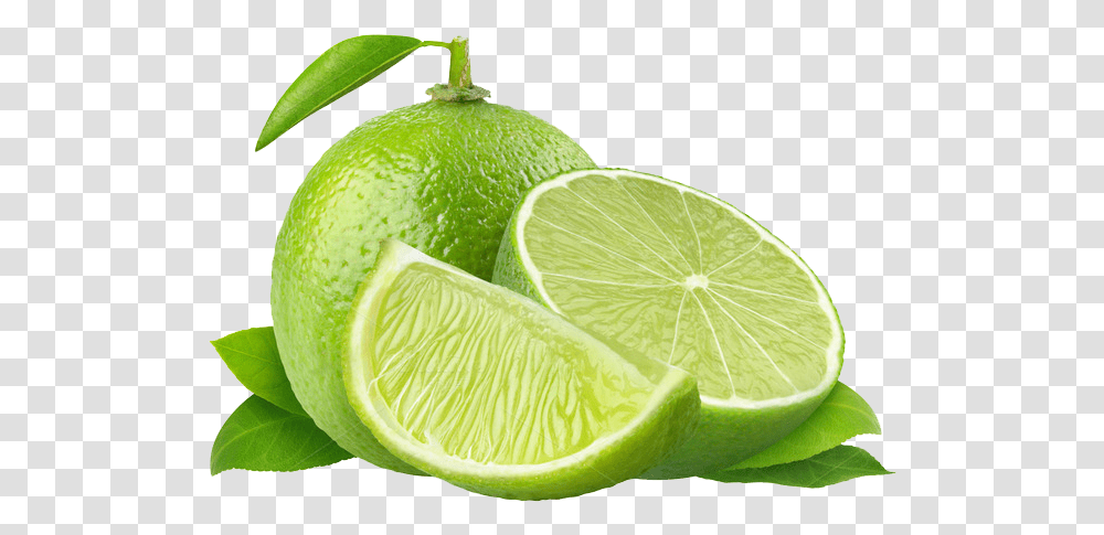 Green Lemon, Lime, Citrus Fruit, Plant, Food Transparent Png