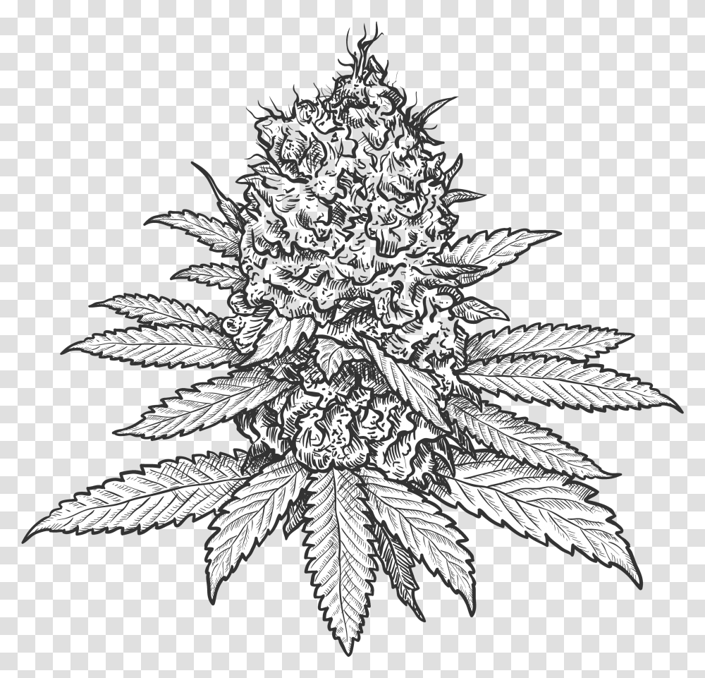 Green Life Cannabis Marijuana Flower Drawing, Leaf, Plant, Weed, Hemp Transparent Png