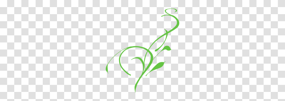 Green Lily Clip Art, Plant, Produce, Food, Vegetable Transparent Png