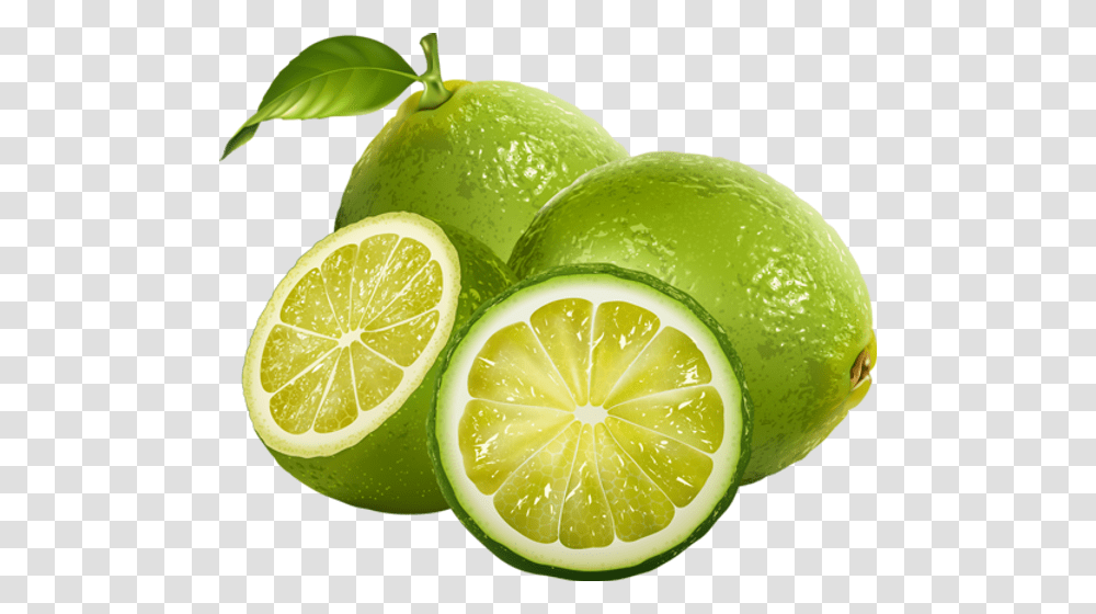 Green Lime Image Background Lime, Citrus Fruit, Plant, Food, Lemon Transparent Png