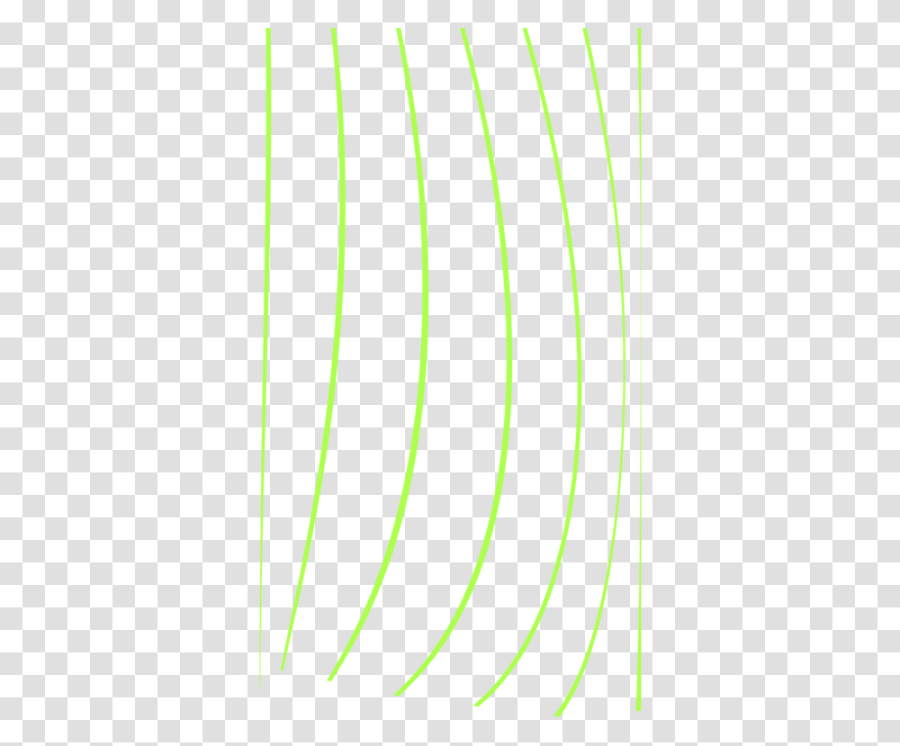 Green Lines Circle, Plant, Bow, Tree, Fir Transparent Png