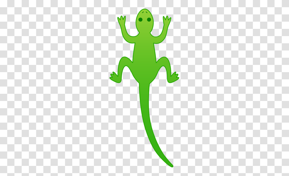 Green Lizard Green With Envy Green Diwali Essay, Animal, Amphibian, Wildlife, Frog Transparent Png