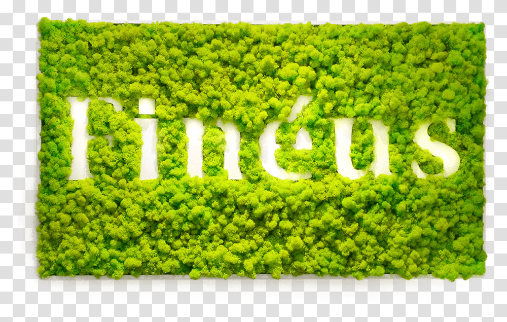 Green Logo Mur Vgetal Avec Logo, Moss, Plant, Vegetation, Outdoors Transparent Png