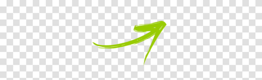 Green, Logo, Label Transparent Png