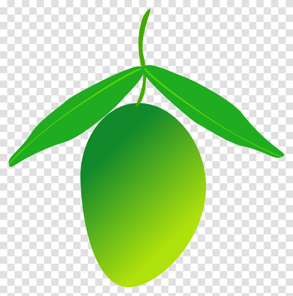 Green Mango Clipart, Plant, Fruit, Food, Tennis Ball Transparent Png