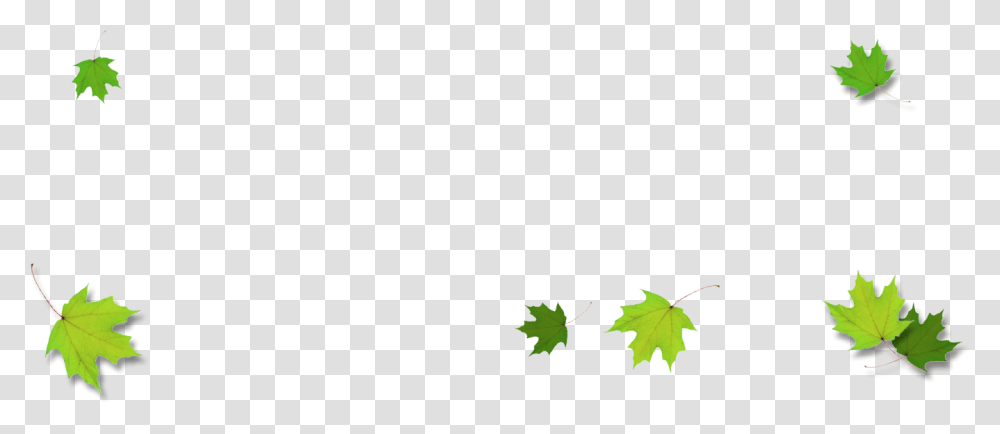 Green Maple Leaf Border, Plant, Tree Transparent Png