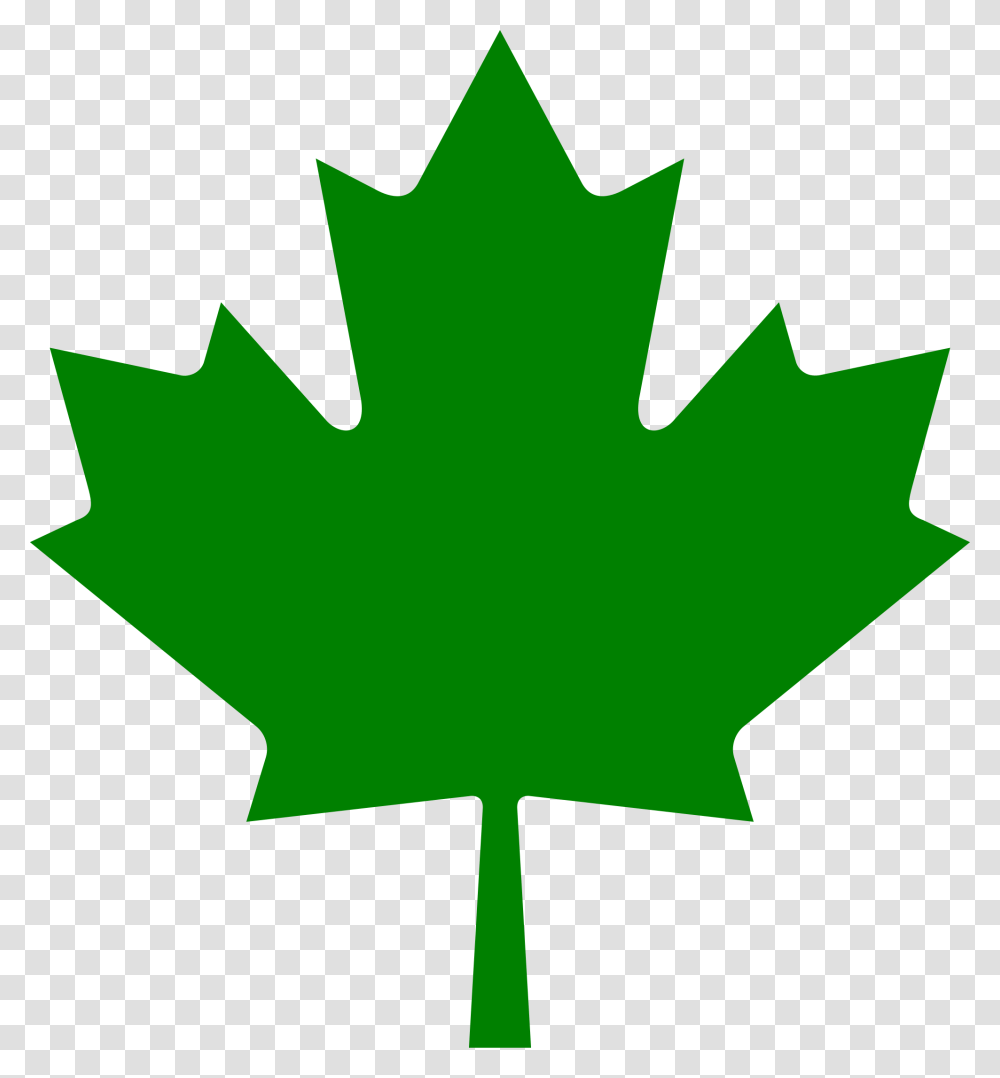 Green Maple Leaf, Plant, Tree, Person, Human Transparent Png