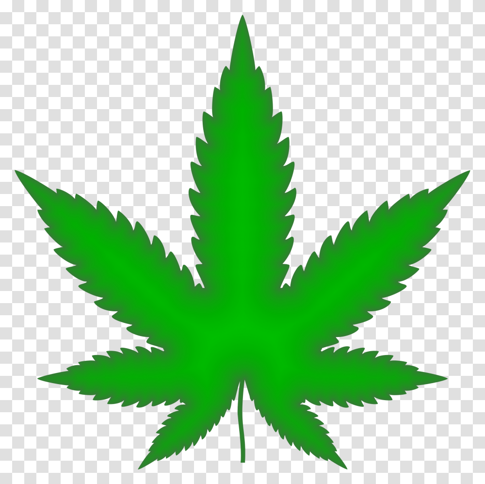 Green Marijuana Leaf, Plant, Weed, Bird, Animal Transparent Png