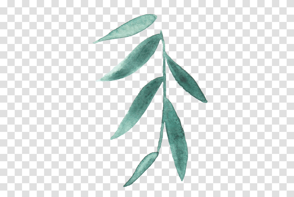 Green Minimal Leaf, Plant, Tree, Vegetation, Annonaceae Transparent Png