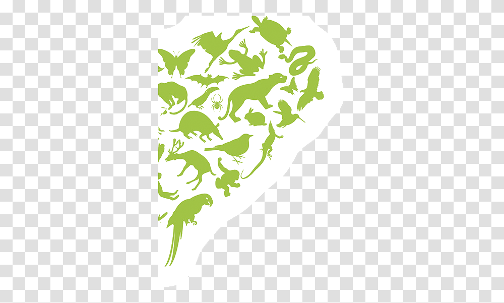 Green Motion Heart Donation Illustration, Bird, Animal, Plant, Food Transparent Png