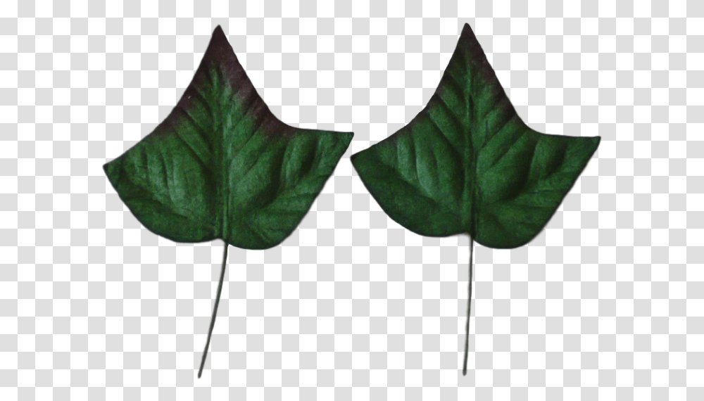 Green Mulberry Paper Ivy Leaves 35cm, Leaf, Plant, Tree, Veins Transparent Png