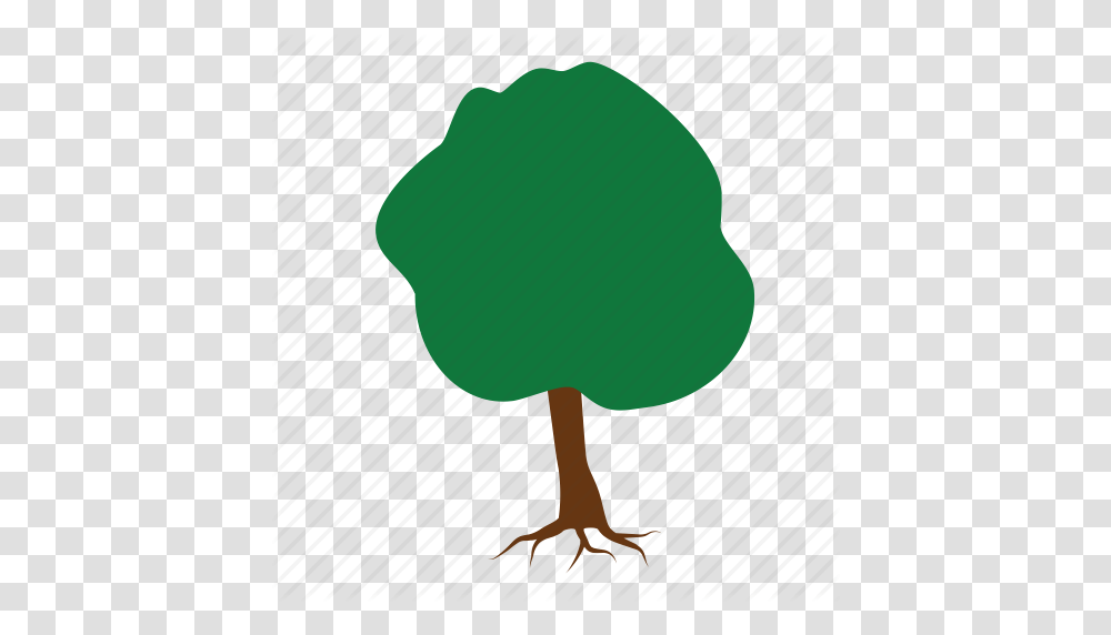 Green Nature Root Roots Stump Tree Trees Icon, Bird, Animal, Balloon, Plant Transparent Png