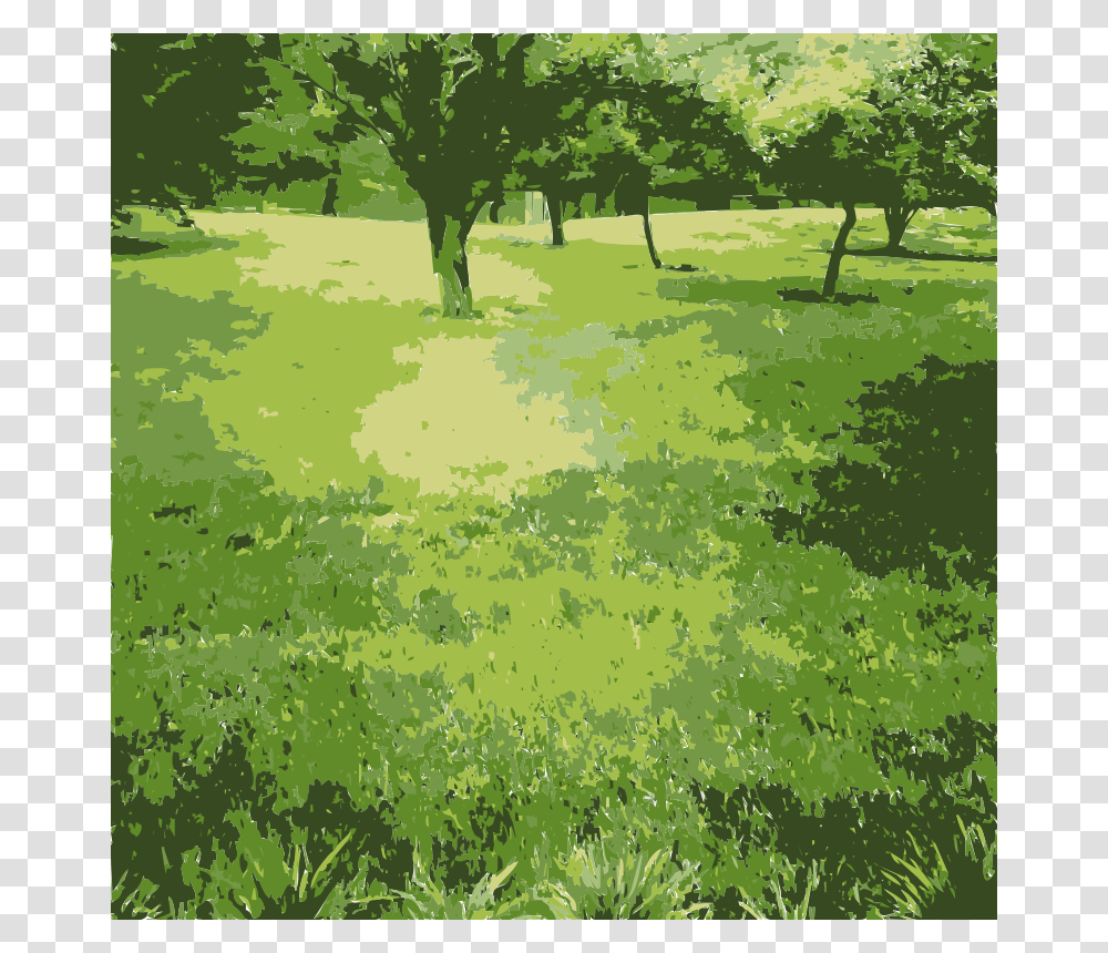 Green Nature, Vegetation, Plant, Outdoors, Field Transparent Png